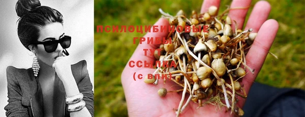 синтетический гашиш Аркадак