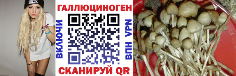 Галлюциногенные грибы Cubensis Ноябрьск