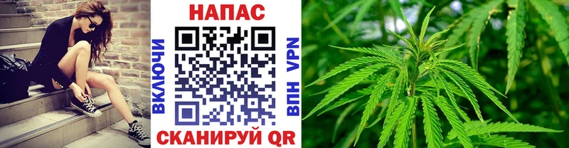 нарко площадка формула  Ноябрьск  Канабис план  наркота 